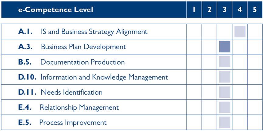 e-CF Mapping Business Analysis Foundation